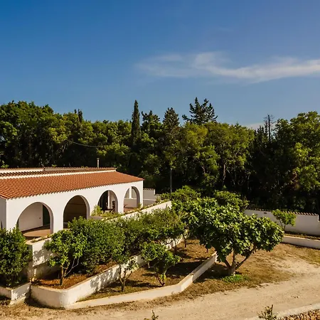 Noi - Zoi The Casa de Férias Antipata (Erisos)